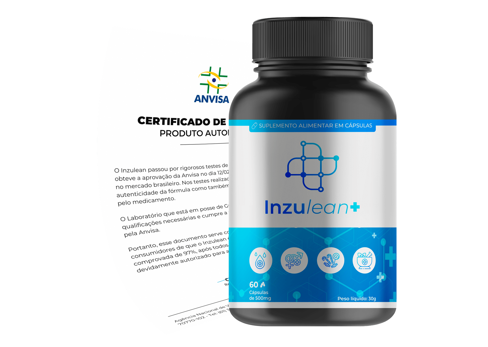 Certificado ANVISA - Erettus